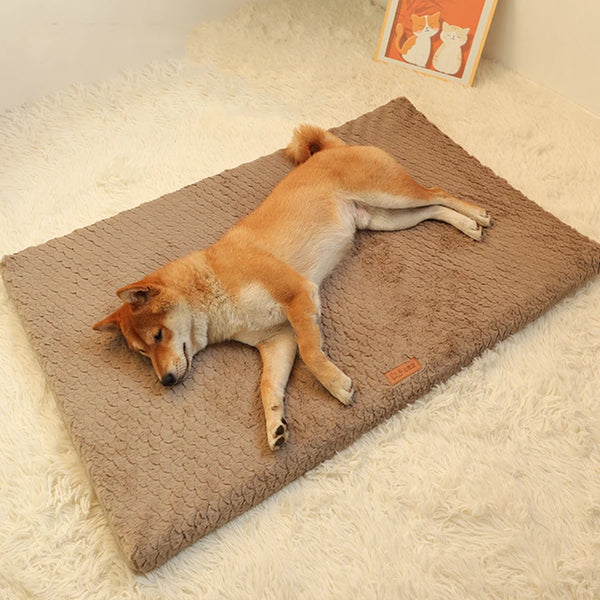 Short Plush Removable Washable Pet Bed, High Elasticity Non-Collapse Dog Bed