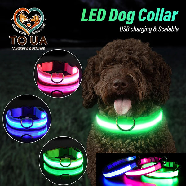 Dog Collar USB Rechargeable Light Up LED Collar Lights Adjustable Soft Safety Night Light Flashing Pet Supplies